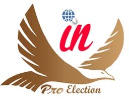 Election Icon